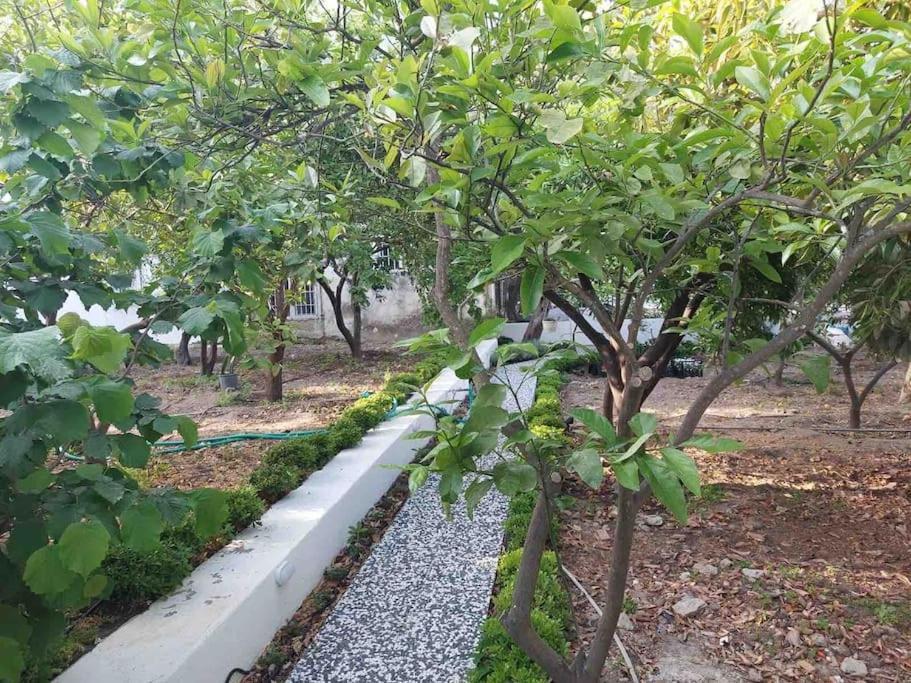 בודרום Mel'S Garden House In The Heart Of The City מראה חיצוני תמונה